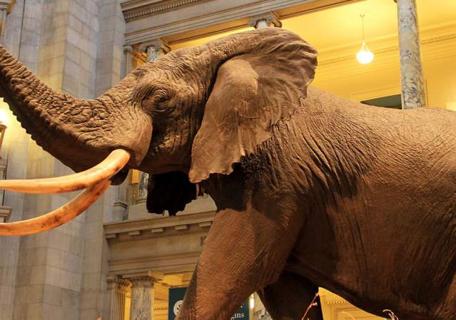 Smithsonian Museums