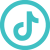 TikTok Social Icon