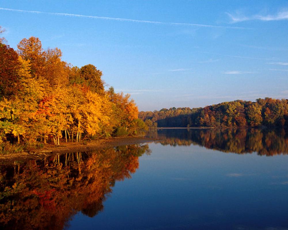 Lake Accotink