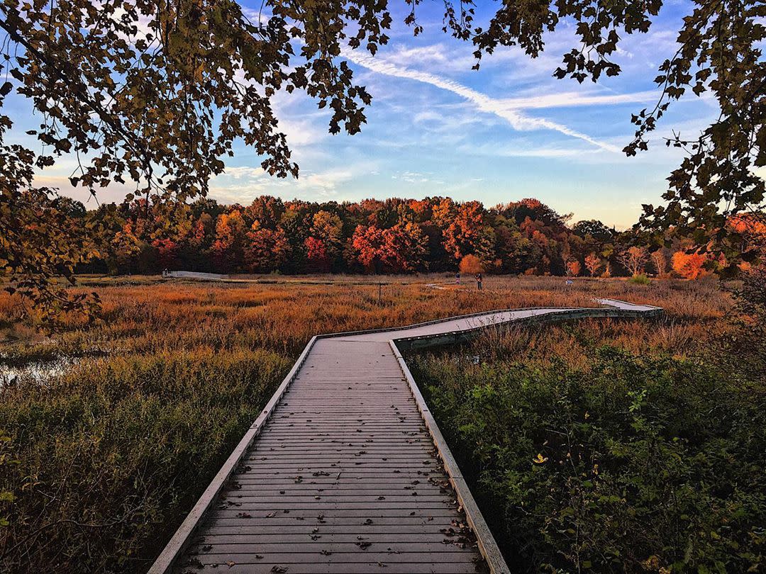 Huntley Meadows